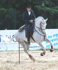 Pedro Torres dominou nos Consagrados na II Jornada da Ovibeja