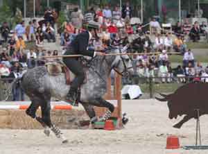 V Jornada do XII Cto. Nacional de Equita&ccedil;&atilde;o de Trabalho