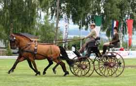 Eriksson wins again in Altenfelden
