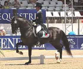 "Os Cavalos Revelam Sempre a Forma como são Treinados"