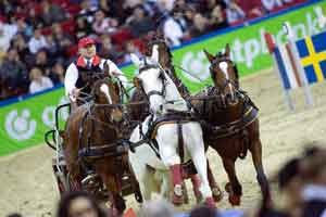 Victory for the Ronde in Vecses