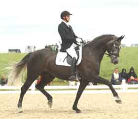 Danish Horses selected for World Champions 2010