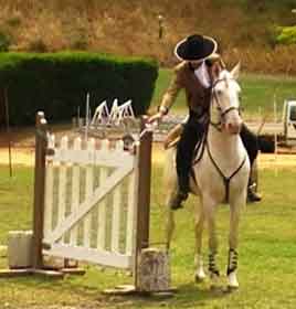 Bruno Rodrigues Silva venceu nos Consagrados