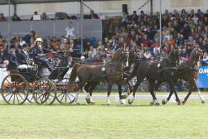 Brilhante vitória de Ana Cristina Guerreiro em Le Pin