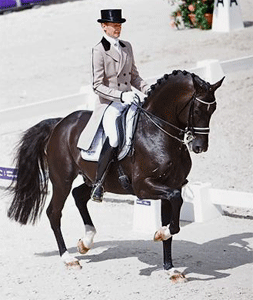 Training online com Edward Gal