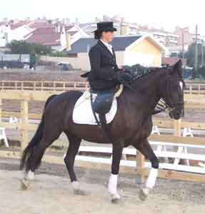 Passeio equestre em S. Domingos de Rana