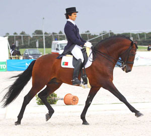 Lusitanos dão cartas no CDI de Vidauban