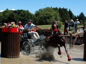 PRATONI: Swiss dominance in the Marathon