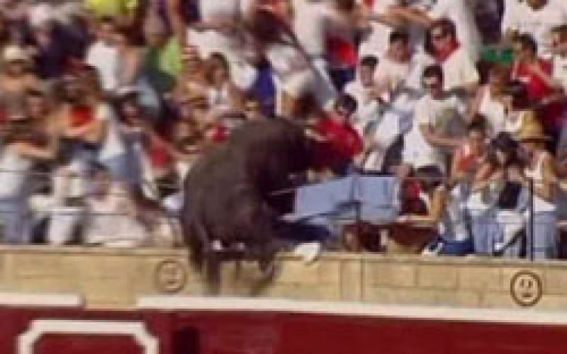 Touro salta para bancada e fere 40 pessoas em Espanha