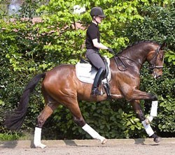 Imke Schellekens-Bartels perde Zan Tropez