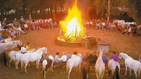 German riders injured as horses run amok