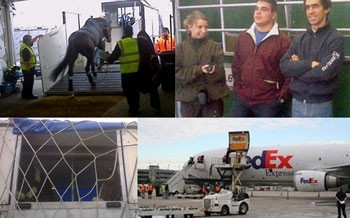 JEM 2010: Partida dos cavalos nacionais