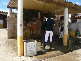 Academia Equestre Jo&atilde;o Cardiga aposta no conceito Self Energy