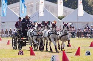 L&aacute;zar takes individual honours at Breda