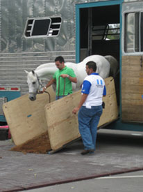 WEG: The first foreign horses are heading for the WEG in Kentucky