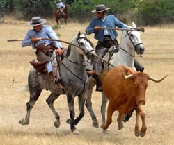 Portugal recebe o II Campeonato de Acosso y Derribo