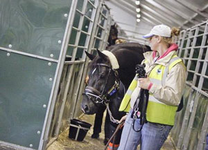 JEM 2010: Cavalos Holandeses de Dressage e Reining já estão em Cincinnati