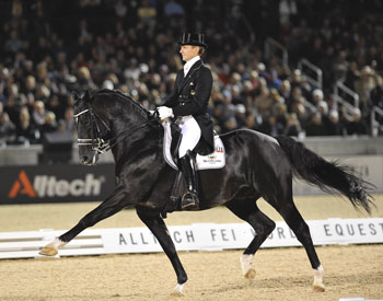 Moorland's Totilas sold to Paul Schockemohle