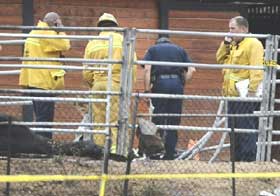 Queda de monomotor mata quatro pessoas e tr&ecirc;s cavalos