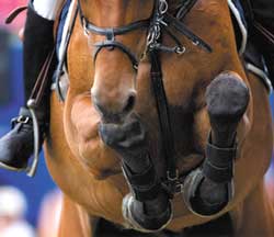 Algarve recebe final da Ta&ccedil;a de Portugal de Trec