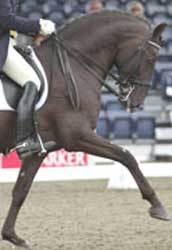 Sugestões para o fim-de-semana (22-24/10)