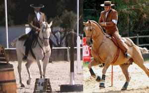 Resultados da VIII Jornada do Cto. Nacional de Equita&ccedil;&atilde;o de Trabalho