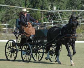 Raquel Niza ganhou pela 2ª vez o Cto. Nacional de Atrelagem 2010