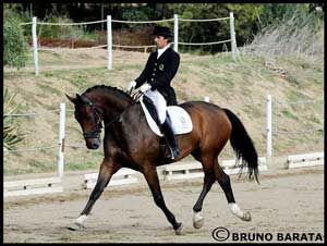 Notas acima dos 70% no CDN do Estoril