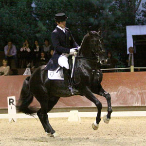 O garanhão Lusitano "Sol" foi vendido para o Japão
