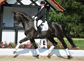 P.S.I. – The Countdown to the 31st Auction has begun