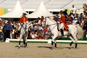 Lipizanner stallions and riders perform for the King of Bahrain
