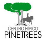 Procura-se Gerente / Encarregado de boxes