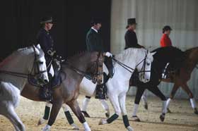 Stallions from four nations enchanted French audience at «Cheval Passion»