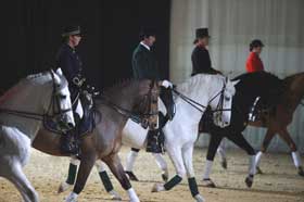 Stallions from four nations enchanted French audience at &laquo;Cheval Passion&raquo;