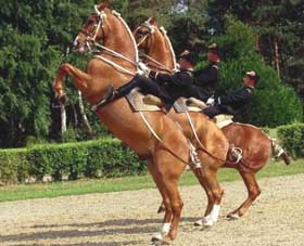 Cadre Noir expande-se e exporta para a China