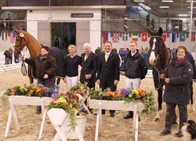 Winter Hanoverian Auction with an outstandig result