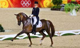 Cavalos e Cavaleiros Holandeses brilham no CDI de Zwolle