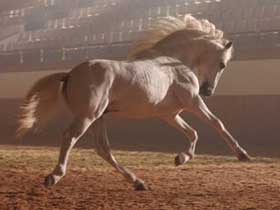 Espanha à descoberta do Japão...