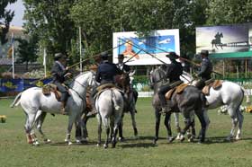 Campeonato Regional de Equitação de Trabalho – Norte