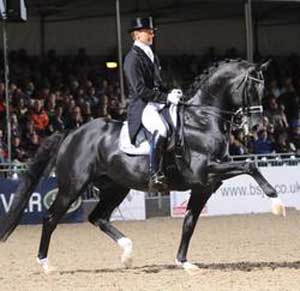 Ortigão Costa e Dressage Plus apostam em Totilas