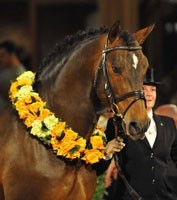 «Sun and Fun» para Hayley Beresford