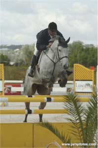 Cerca de 100 Cavalos saltaram na Comporta