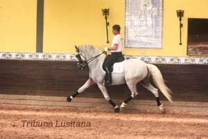 Juan Manuel Muñoz um sucesso no Brasil