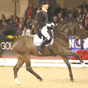 Notícias positivas de Hunter Douglas Sunrise