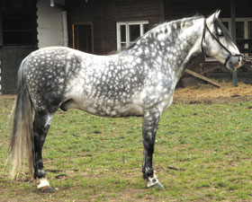 ANCCE a única associação reconhecida do PRE