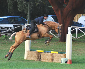 Campeonato Nacional de Equitação de Trabalho 2011