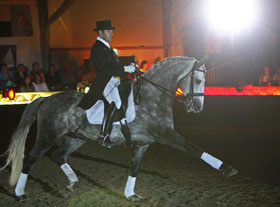 Looking for a Working/student - Switzerland