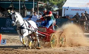 Derby de Atrelagem realiza-se em Santa Bárbara de Nexe
