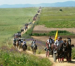 Mais de 250 Cavalos na Romaria a cavalo Moita – Viana do Alentejo