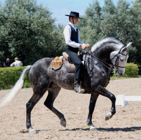 I Jornada do Cto. Nacional de Equita&ccedil;&atilde;o de Trabalho - Resultados
